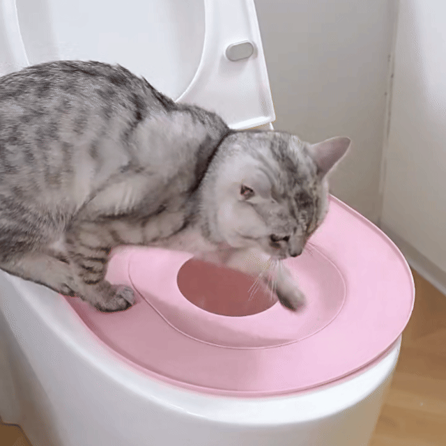 Kit Di Addestramento Per Il WC Del Gatto