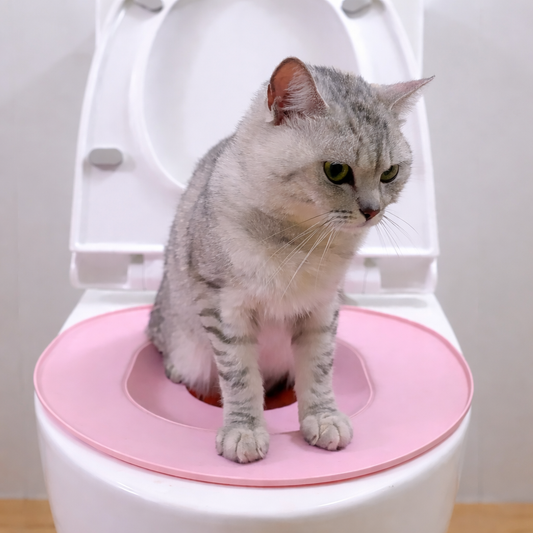 Kit Di Addestramento Per Il WC Del Gatto