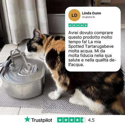 Miaulo™️ - Fontanella Gatti