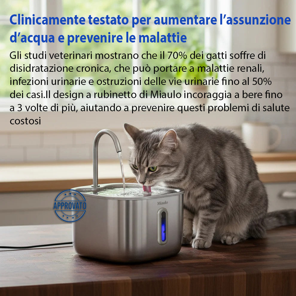 Miaulo™️ - Fontanella Gatti